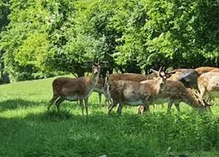 Thelittlehouse-by-the-lake * Horsholm